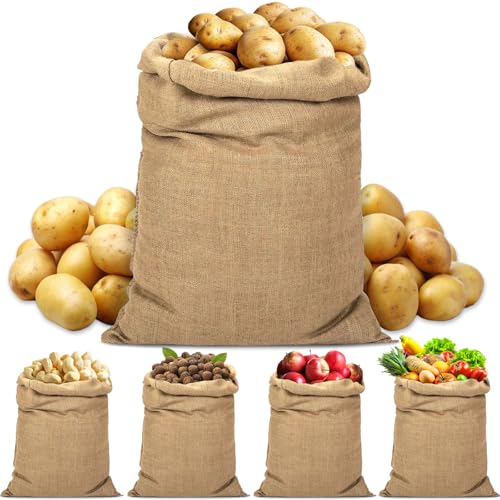 B0DD34LJT5